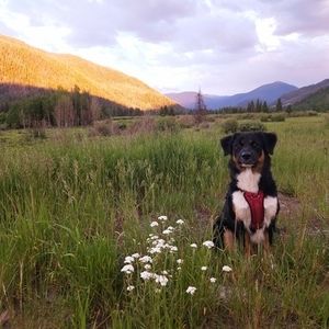 Meet your Posher, Nick